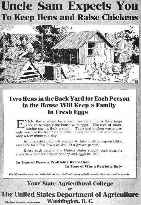 Victory Garden Poster USA poster